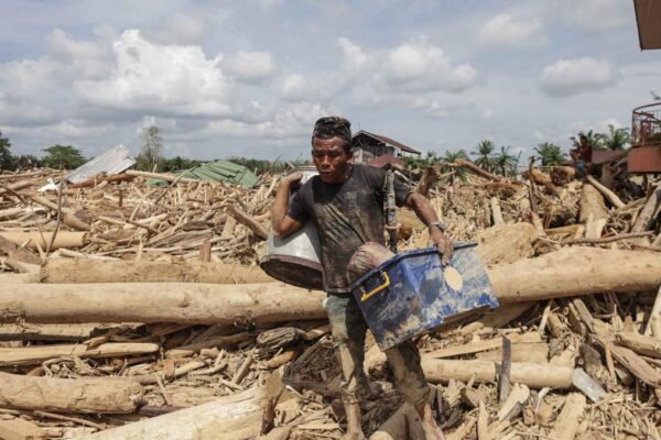 Anggota DPR Desak Penegakan Hukum Pidana untuk Perusahaan Perusak Hutan