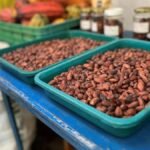 Perubahan Iklim Ancam Rantai Pasokan Global, Bisnis Harus Adaptasi