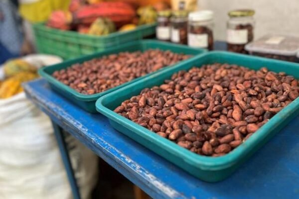 Perubahan Iklim Ancam Rantai Pasokan Global, Bisnis Harus Adaptasi