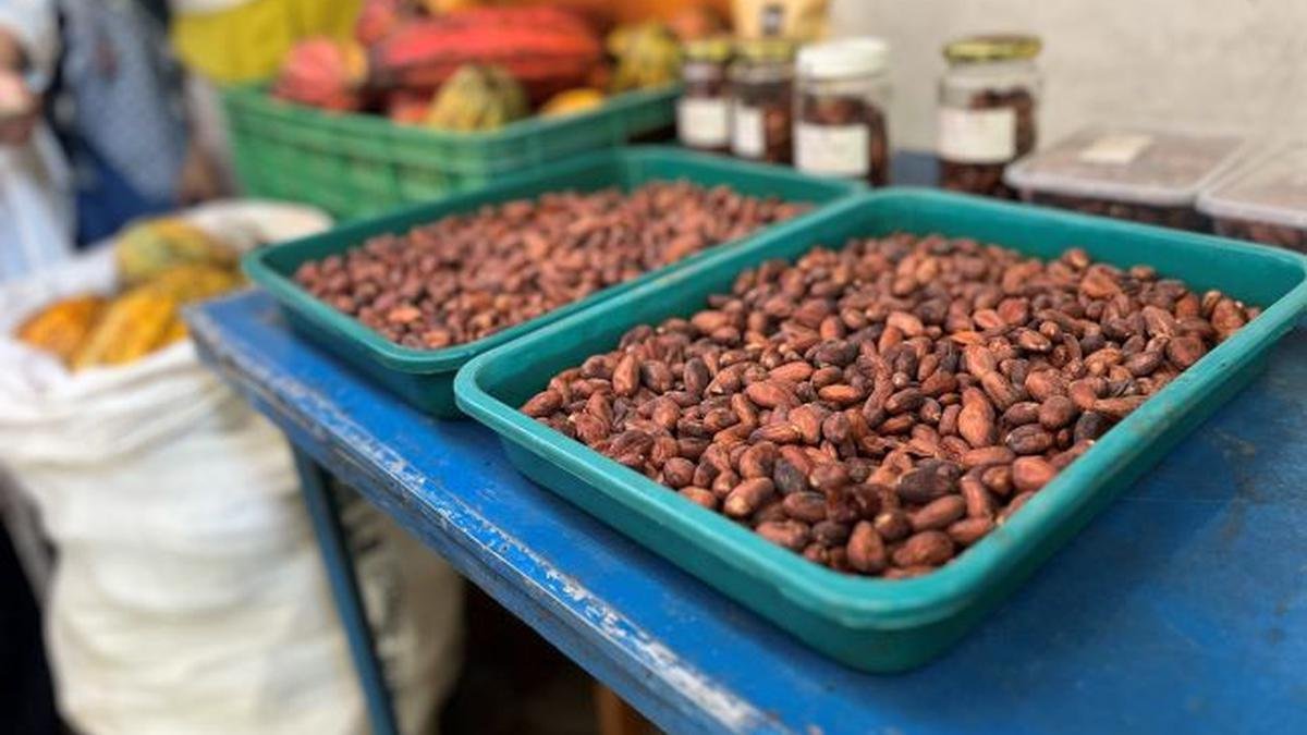 Perubahan Iklim Ancam Rantai Pasokan Global, Bisnis Harus Adaptasi